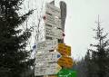 09ruo_36