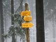 09ruo_53