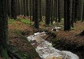 10rvjh_024