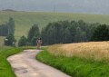 10rvjh_053
