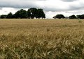 10rvjh_066