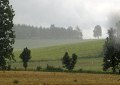 10rvjh_068