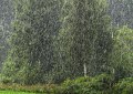 10rvjh_069